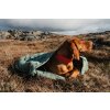 Łóżko turystyczne śpiwór Hurtta Dreamer ECO S 50cm