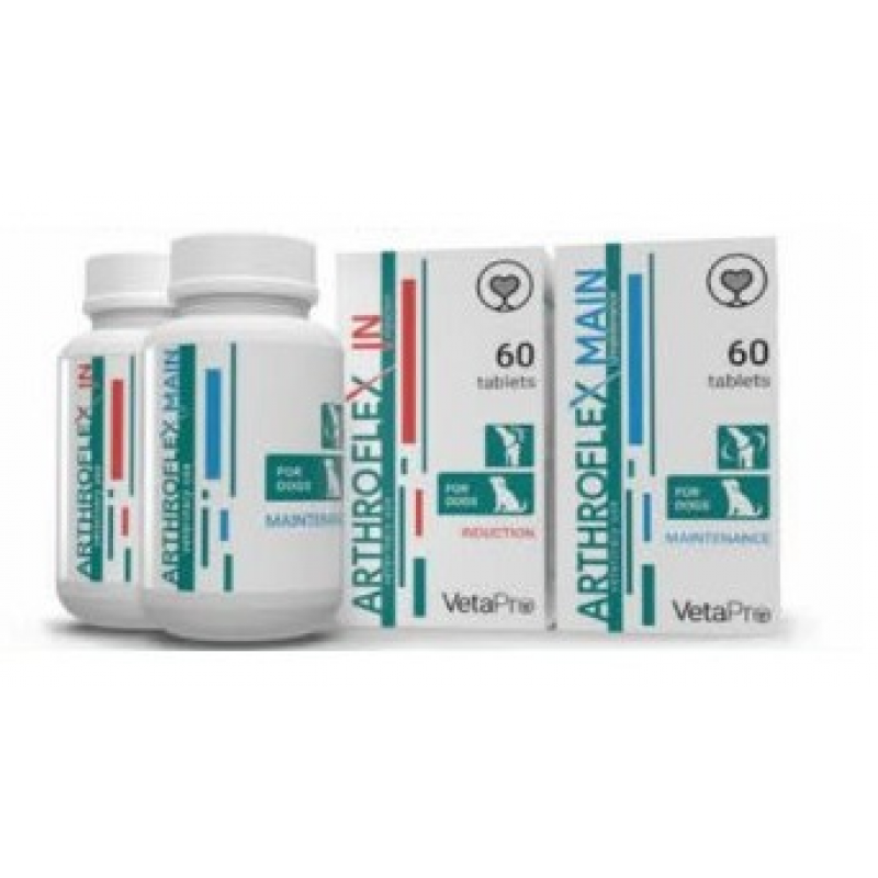 Arthroflex IN 60 tbl.