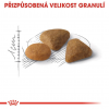 Royal Canin Exigent Savor 10kg