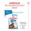Royal Canin Starter Mother & Babydog Maxi 4kg
