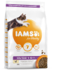 Iams Cat Kitten Chicken 10kg