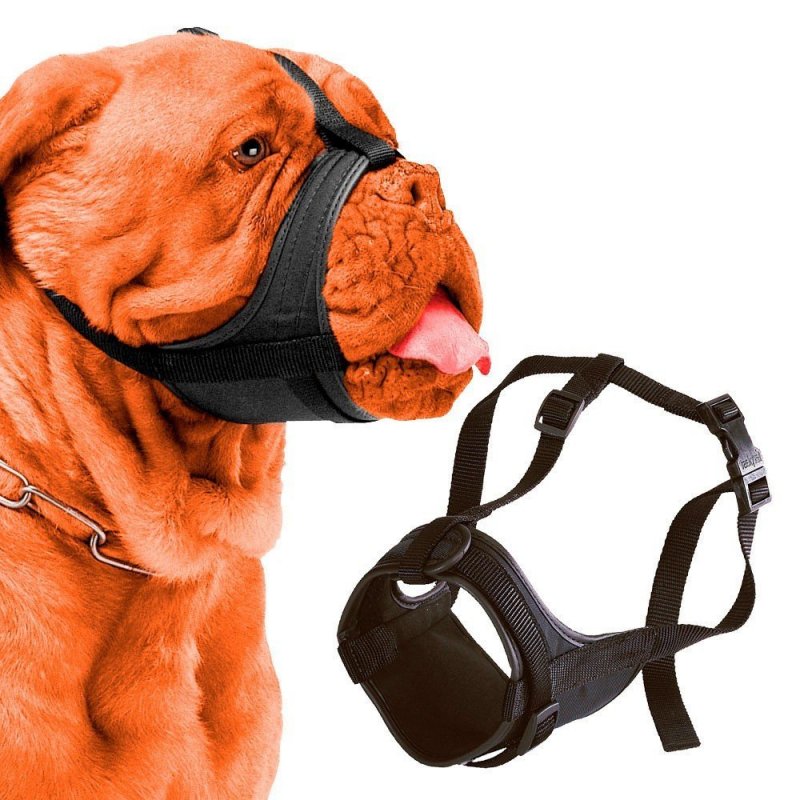 Kaganiec mocujący Ferplast SAFE BOXER