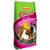 Avicentra Classic menu dla świnki morskiej 1kg