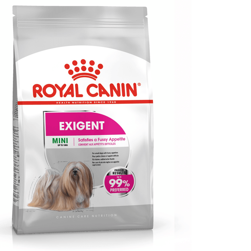 Mini exigent top