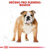 Royal Canin Bulldog Adult 3kg