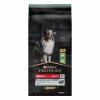 PRO PLAN MEDIUM ADULT SENSITIVE DIGESTION jagnięcina 14 kg