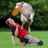 TRIXIE Latający spodek Dog Activity frisbee 23cm