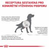 Royal Canin VD DOG HEPATIC 12kg