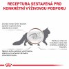 Royal Canin VHN Cat Fibre Response 2kg
