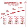 Royal Canin Kitten 2kg