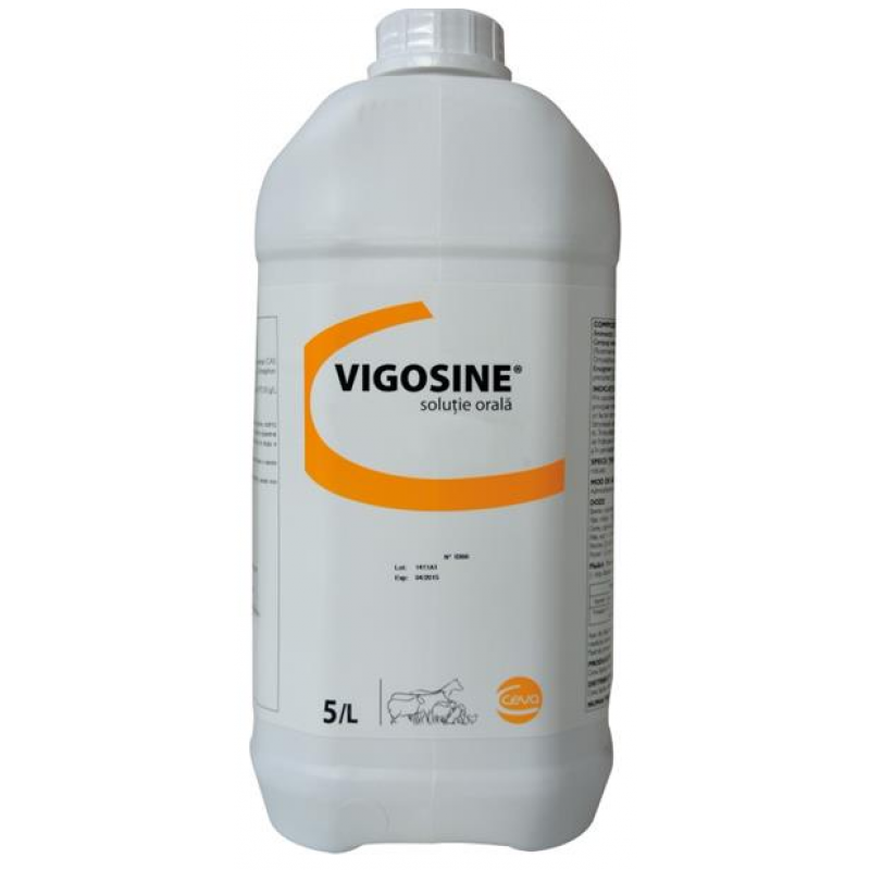 Vigosine Liq 5l