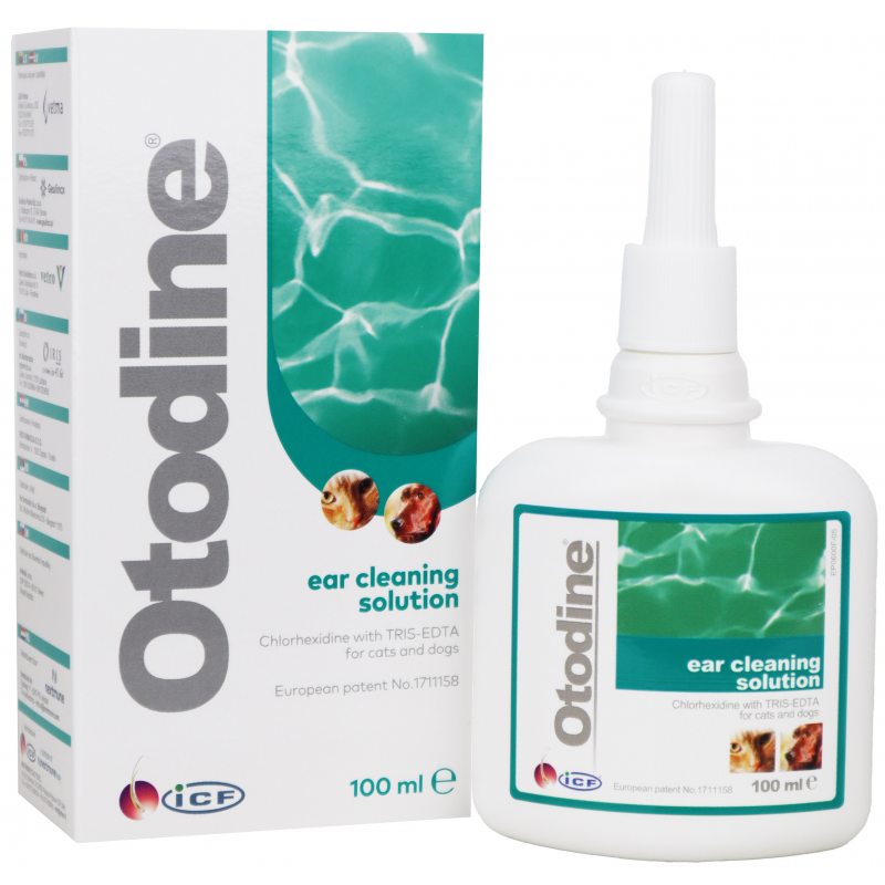 Otodine 100ml