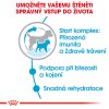 Royal Canin Mini Starter 1kg
