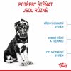 Royal Canin Maxi Puppy 15kg
