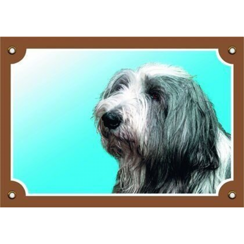 Kolorowy znak Uważaj, psie, Bearded collie (tekst w języku czeskim)