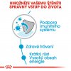 Royal Canin Medium Puppy 10 x 140g