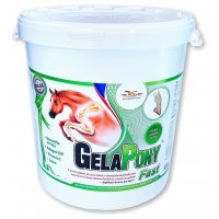 Gelapony Fast 10,8kg
