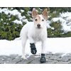 Trzewiki ochronne neoprenowe Walker Active Trixie M / L (2szt)