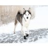 Trzewiki ochronne neoprenowe Walker Active Trixie M / L (2szt)