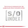 Royal Canin VHN Cat Gastrointestinal 2kg