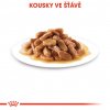 Royal Canin Mini Puppy 12 x 85g