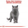 Royal Canin British Shorthair Adult 2kg