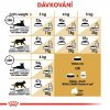 Royal Canin Persian Adult 10kg