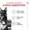 Royal Canin Starter Mother & Babydog Maxi 4kg