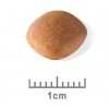 Royal Canin Cavalier King Charles Adult 1,5kg