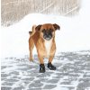 Trzewiki ochronne neoprenowe Walker Active Trixie M / L (2szt)