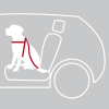 Samochodowe szelki bezpieczeństwa dla psa M Trixie Safety