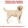 Royal Canin Breed Labrador 12kg