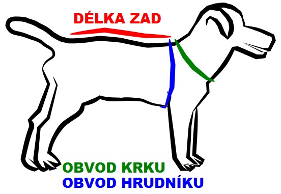 Jak zmierzyć wymagane wymiary psa: