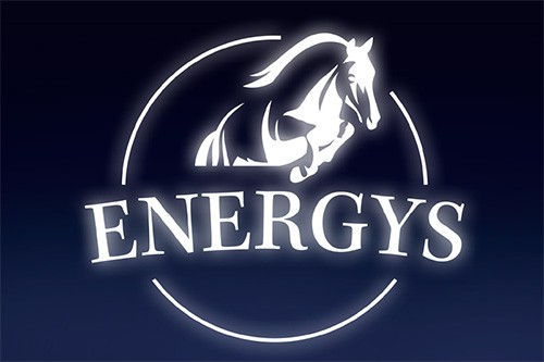Logo Energy dla koni