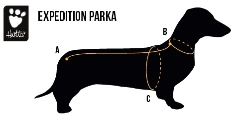 instrukcje, gdzie mierzyć psa