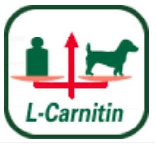 Royal Canin Mini Adult 8+ - L-karnitin