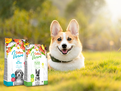 Calibra wprowadza nową linię karmy dla psów: Calibra Dog Verve! Calibra wprowadza nową linię karmy dla psów: Calibra Dog Verve!